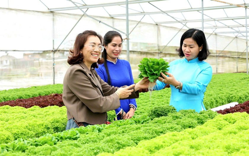 31_Oct_2025_164234_GMTPicture1.jpg (135 KB)