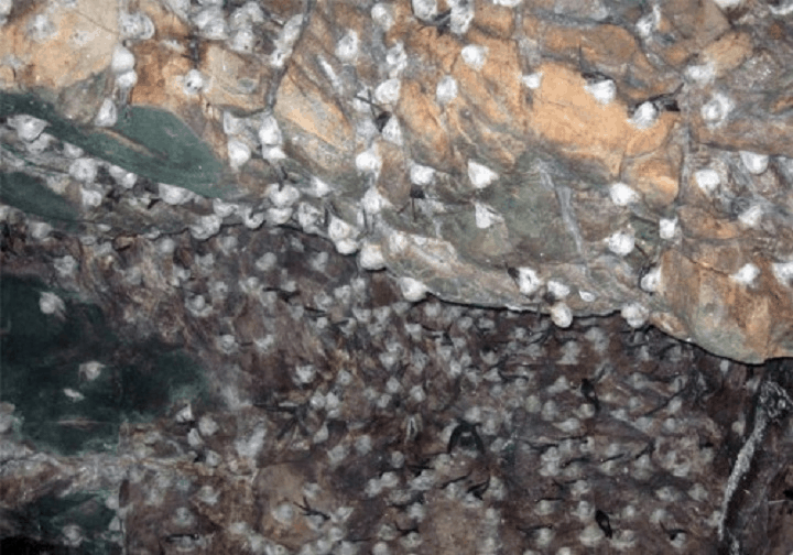 yen-sao-minh-nga-dao-yen-nha-trang-04.png (245 KB)