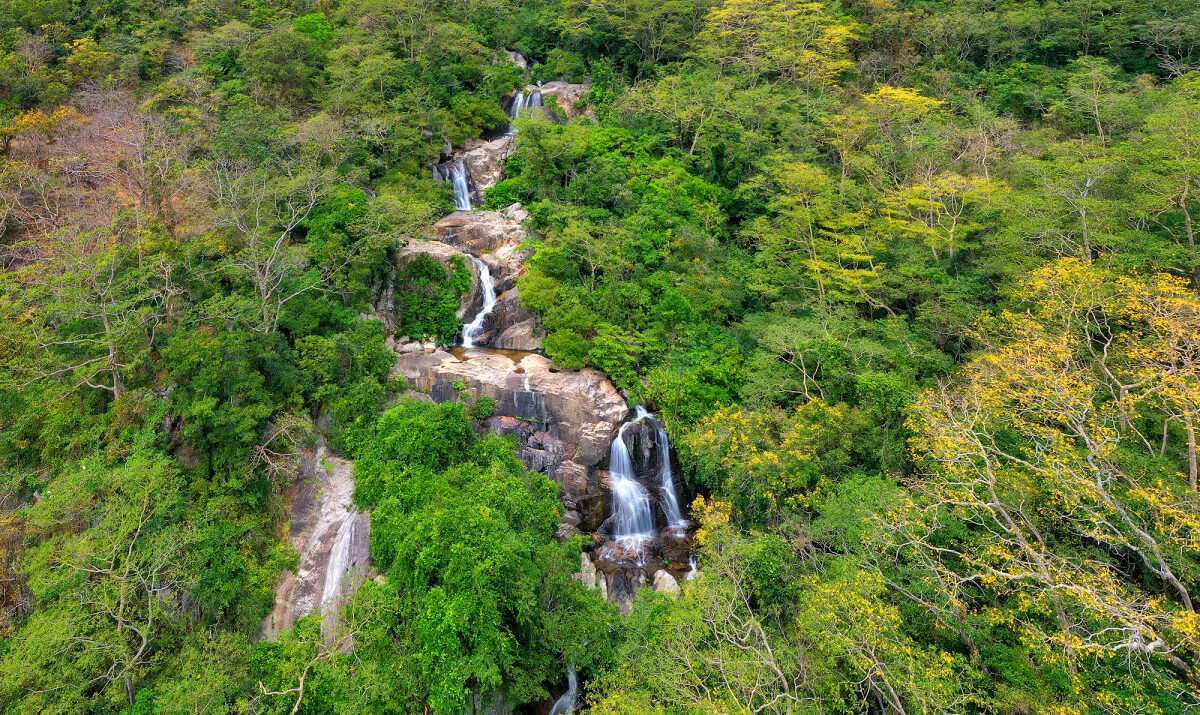 726fe8f4-vuon-quoc-gia-nui-chua-ninh-thuan-5085646-1200x715.jpg (507 KB)