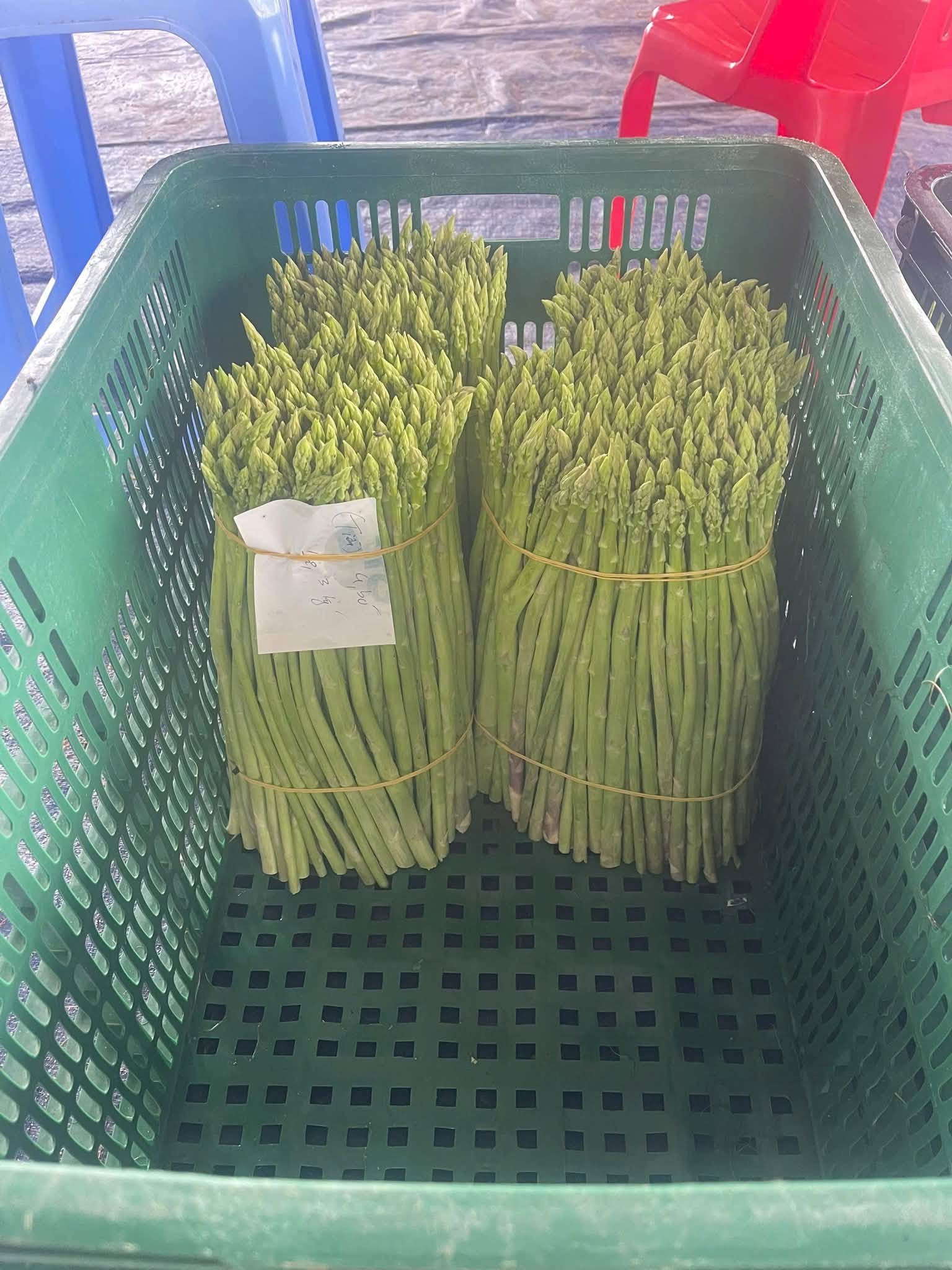 phước hậu . dự án 3.jpg (268 KB)
